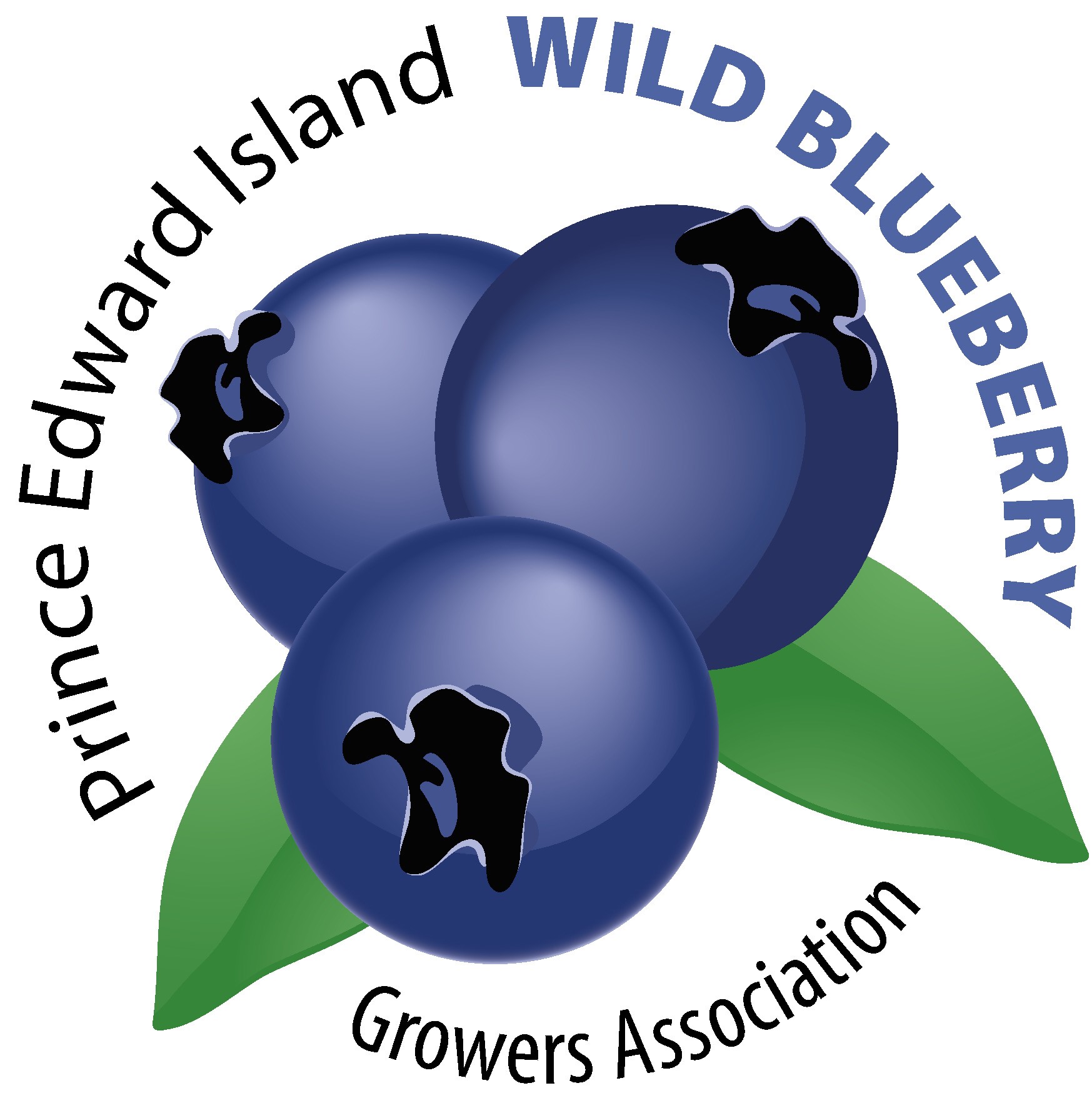 St. Peter's Wild Blueberry Festival and